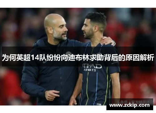 为何英超14队纷纷向迪布林求助背后的原因解析