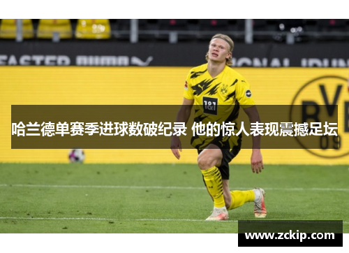 哈兰德单赛季进球数破纪录 他的惊人表现震撼足坛