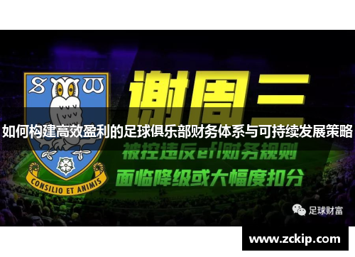 如何构建高效盈利的足球俱乐部财务体系与可持续发展策略