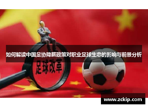 如何解读中国足协降薪政策对职业足球生态的影响与前景分析